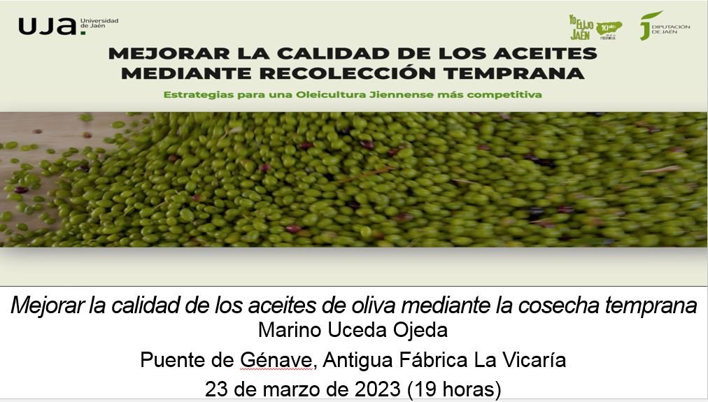 Mejorar la calidad de los aceites de oliva mediante la recolección temprana, Puente Génave (23 marzo 2023)