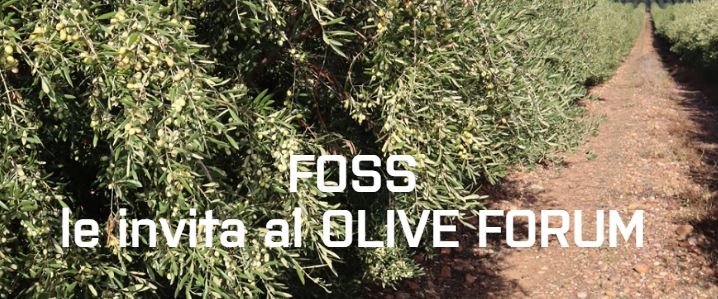 11 ABRIL 2024 OliveForum de FOSS