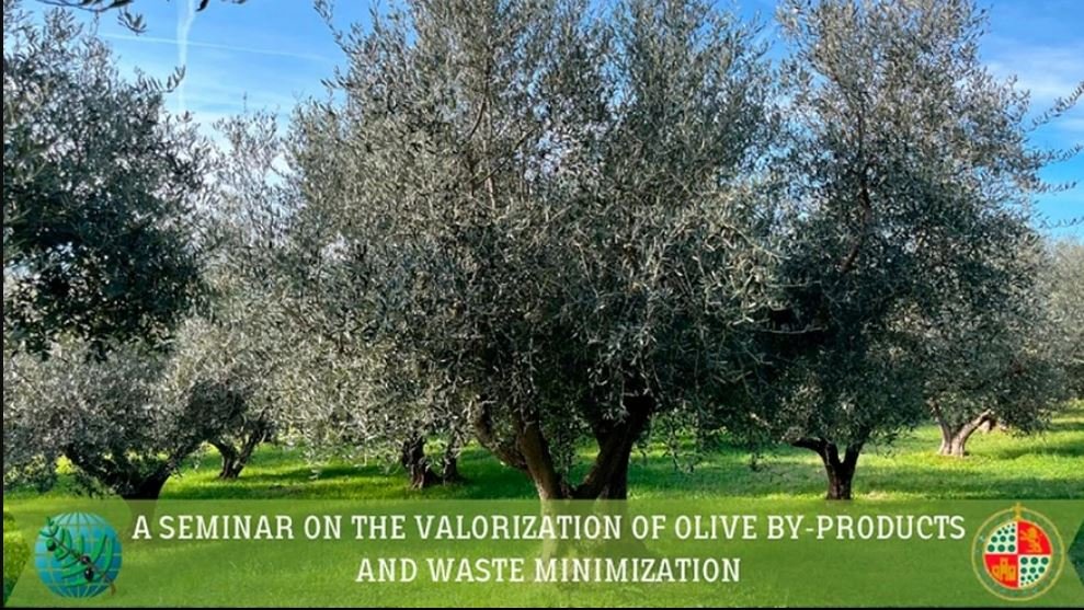 16-20 SEPTIEMBRE 2024 Seminario sobre valorización de subproductos del olivo